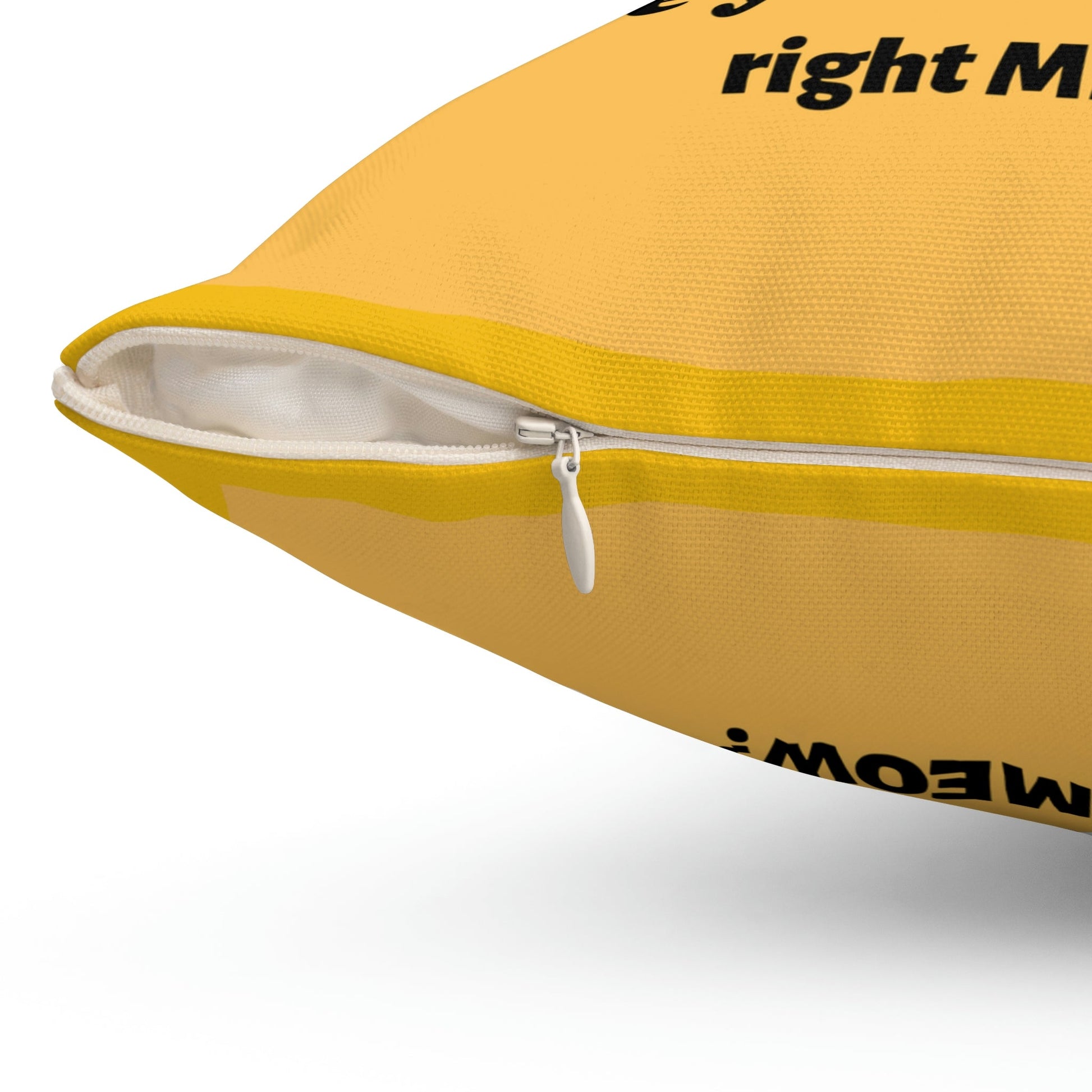 Are You Kitten Me Right Meow? Yellow Spun Polyester Square Funny Pillow Room Accent Indoor Pillow, Dorm Room gift, Graduate student present - I Love Heartstrings