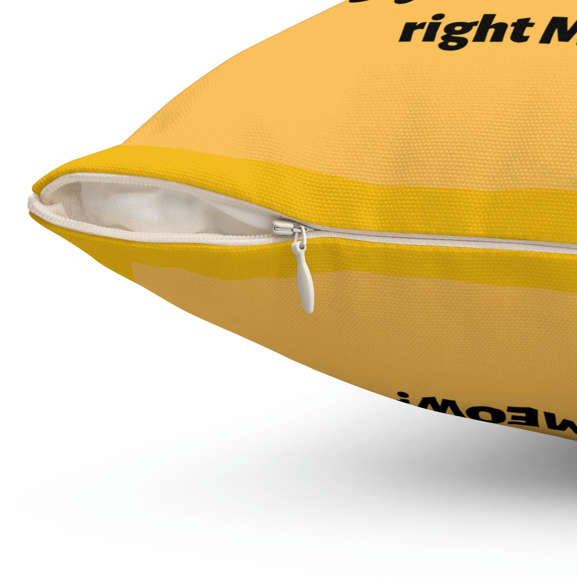Are You Kitten Me Right Meow? Yellow Spun Polyester Square Funny Pillow Room Accent Indoor Pillow, Dorm Room gift, Graduate student present - I Love Heartstrings