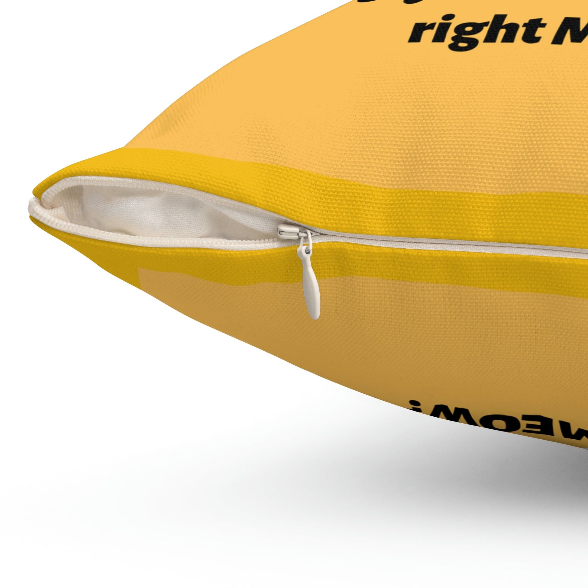 Are You Kitten Me Right Meow? Yellow Spun Polyester Square Funny Pillow Room Accent Indoor Pillow, Dorm Room gift, Graduate student present - I Love Heartstrings