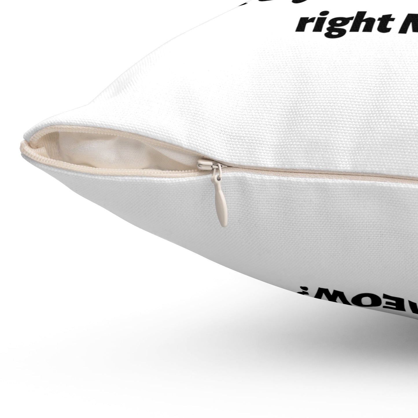 Funny White Cat Pillow Are You Kitten Me Spun Polyester Square Pillow - I Love Heartstrings