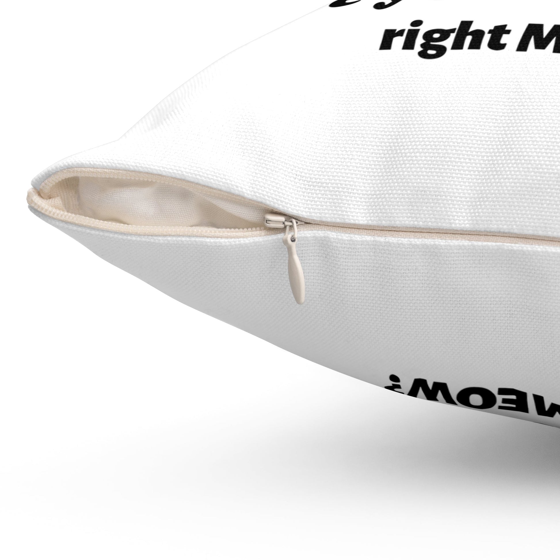 Funny White Cat Pillow Are You Kitten Me Spun Polyester Square Pillow - I Love Heartstrings