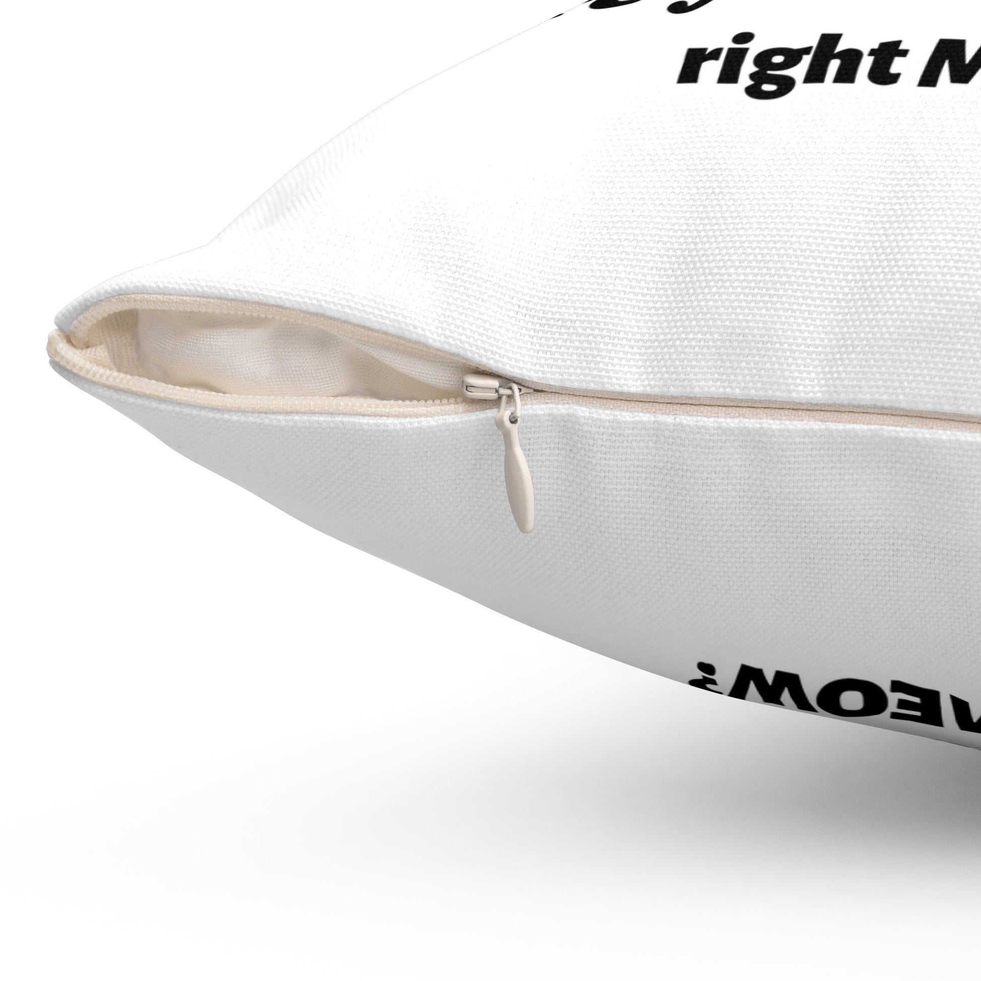 Funny White Cat Pillow Are You Kitten Me Spun Polyester Square Pillow - I Love Heartstrings