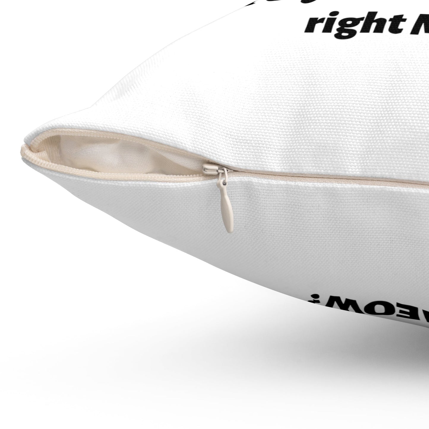 Funny White Cat Pillow Are You Kitten Me Spun Polyester Square Pillow - I Love Heartstrings