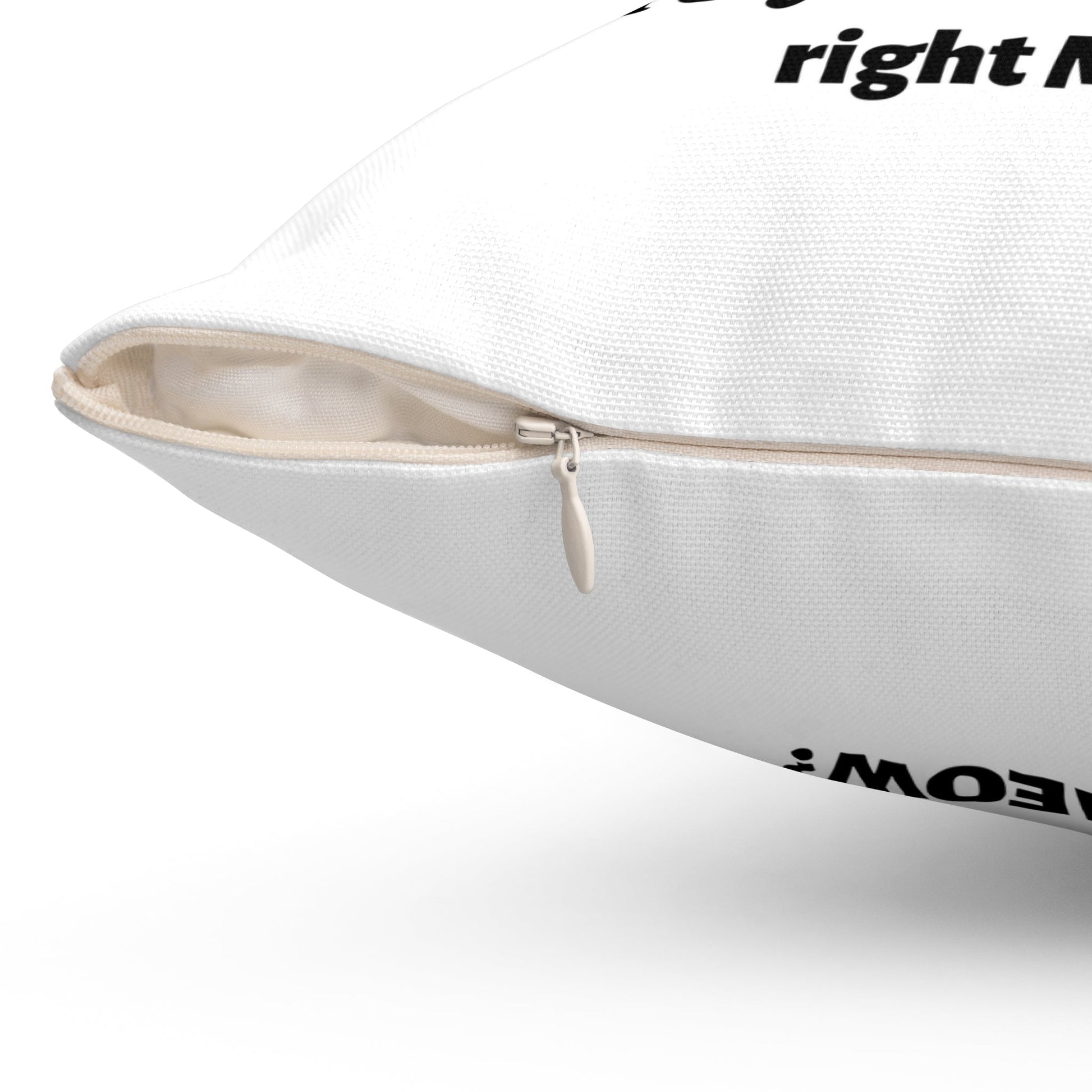 Funny White Cat Pillow Are You Kitten Me Spun Polyester Square Pillow - I Love Heartstrings